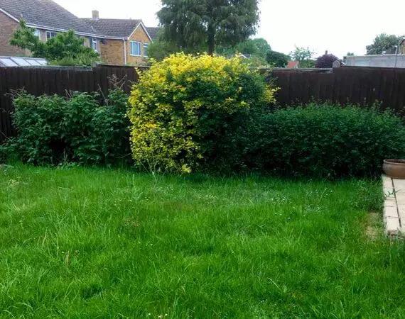 Lawn mowing in a London property