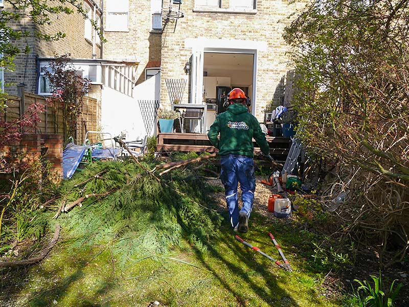 arborist gathering the generated wood waste