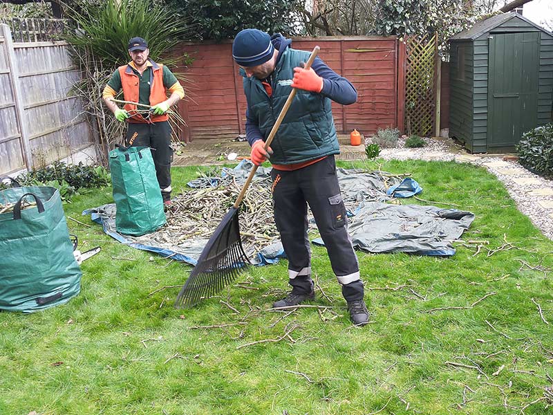 raking the lawn to gather the smallest bits of branches