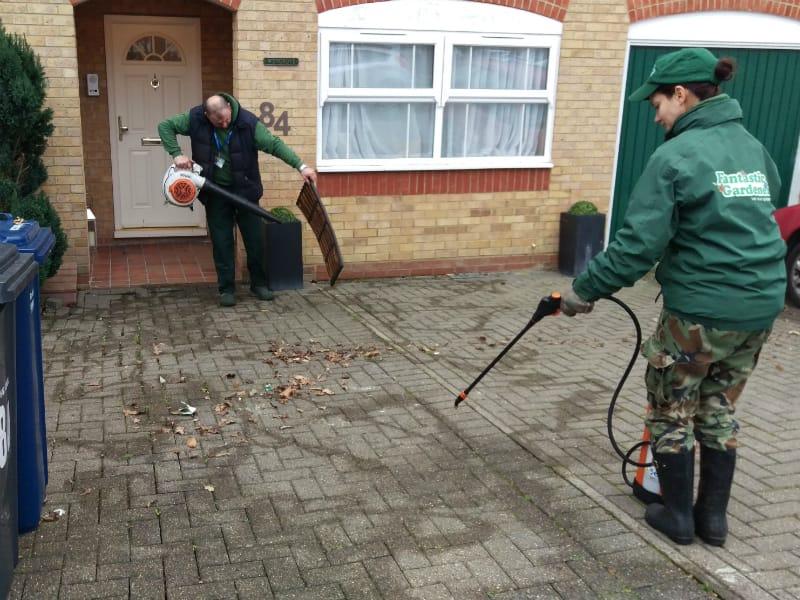 blowing leaves on front pavement in SW6