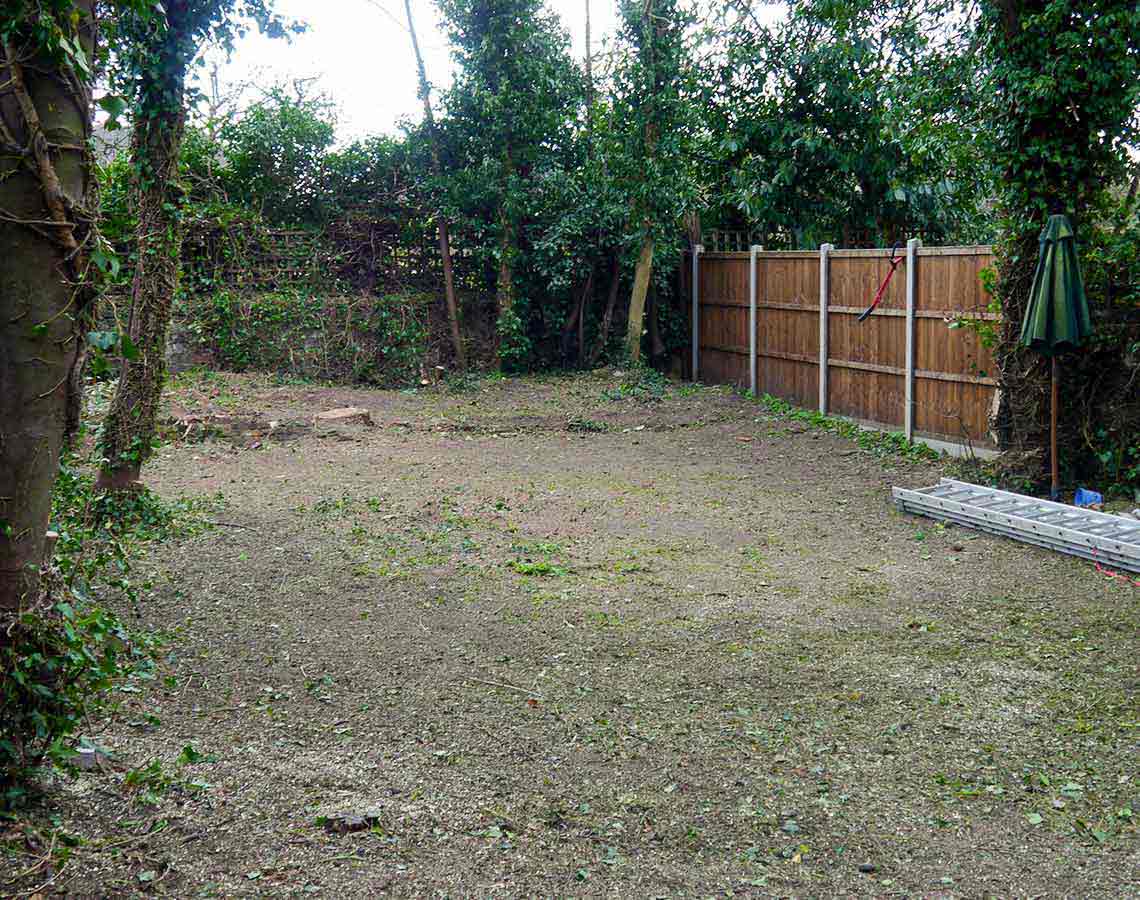 Overgrown Garden Clearance London by Fantastic Gardeners