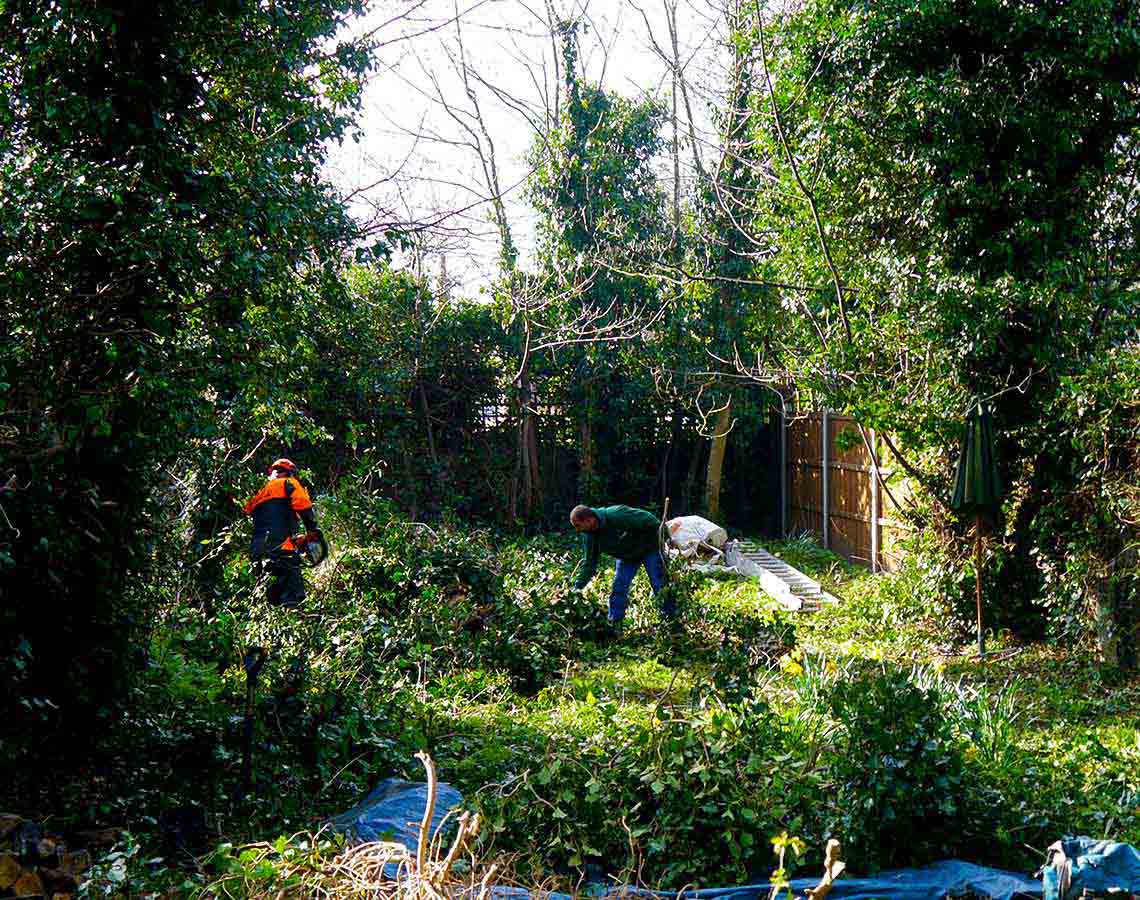 Overgrown Garden Clearance London by Fantastic Gardeners