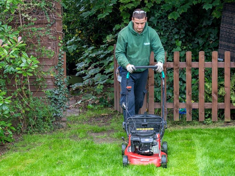 Gardener Mowing a Lawn