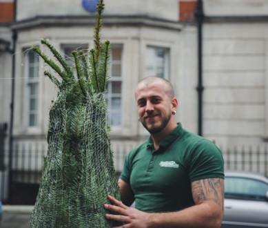 Christmas tree deals delivery london