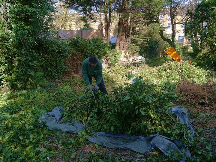 gardeners collecting the green waste