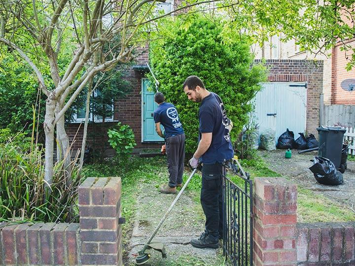 gardeners maintaining a front yard in West Norwood