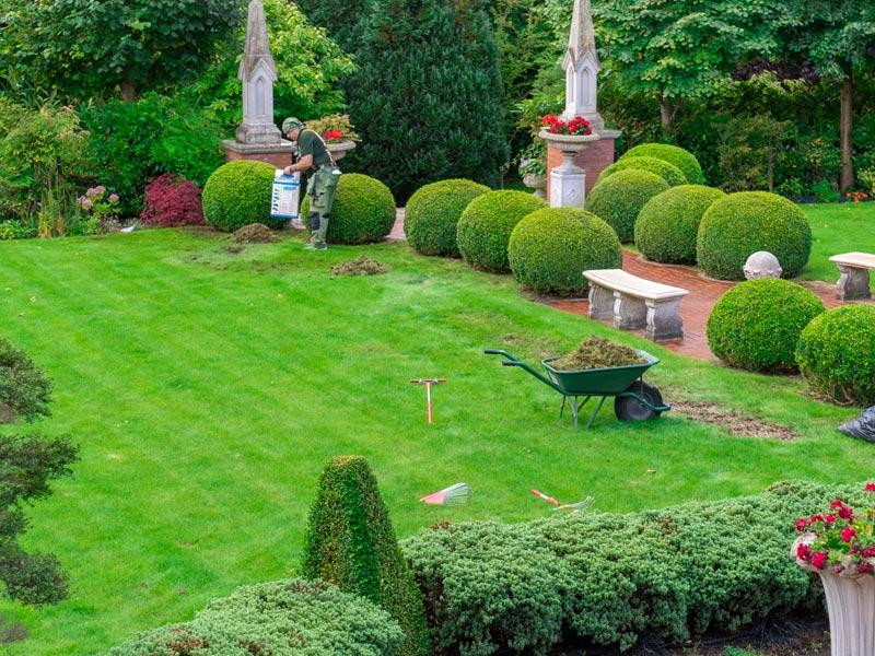 lawn care in croydon cr0