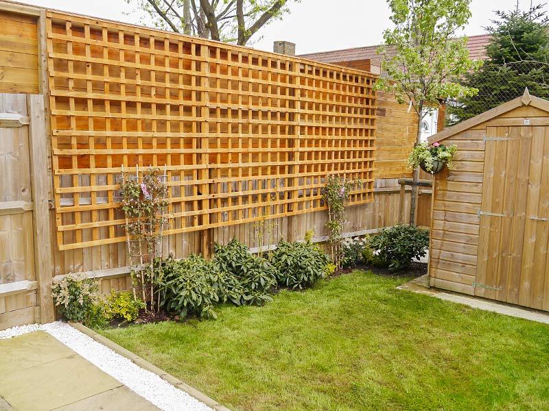 planting and trellis installation after