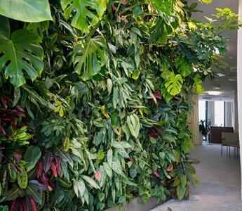 Living wall Installation in a London property