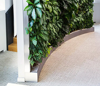Living Wall Installation Service in a London property