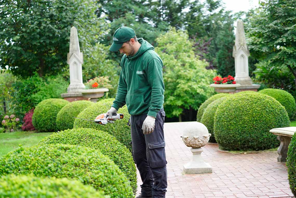 Professional Hedge Trimming in London | Fantastic Gardeners