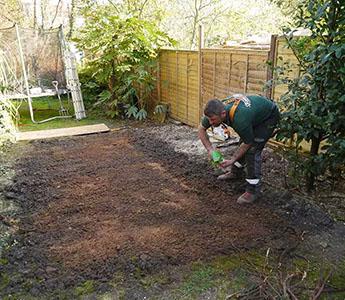 Lawn reseeding service in a London property