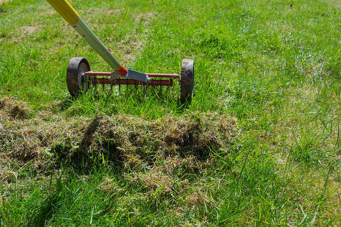 Lawn Scarification Service in London Fantastic Gardeners