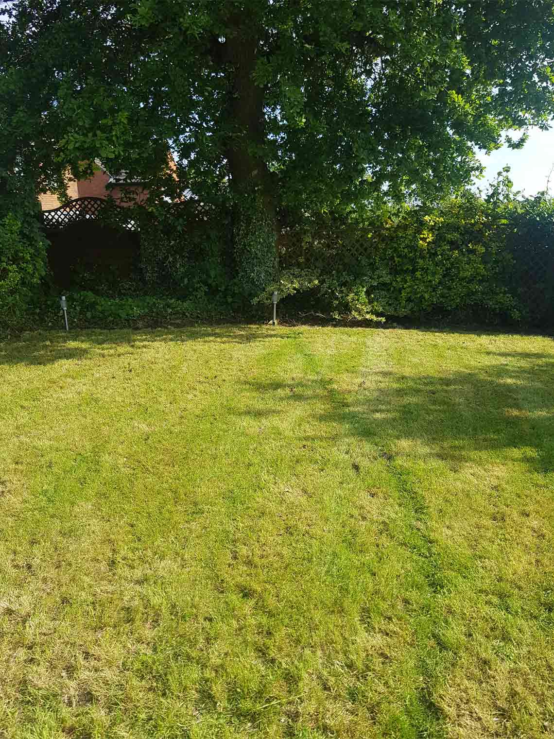 Lawn TopDressing & Overseeding Services in London