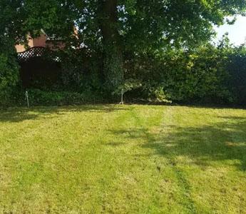 Lawn Top Dressing And Overseeding in London