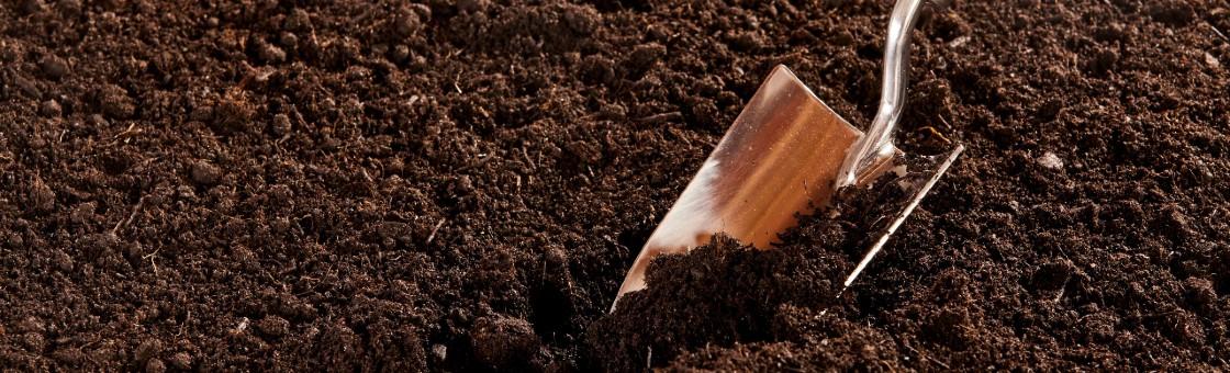 What's the best soil you'd recommend for flower seeds? : r/gardening