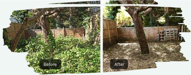 The image shows a side-by-side comparison of a backyard before and after garden clearing service.