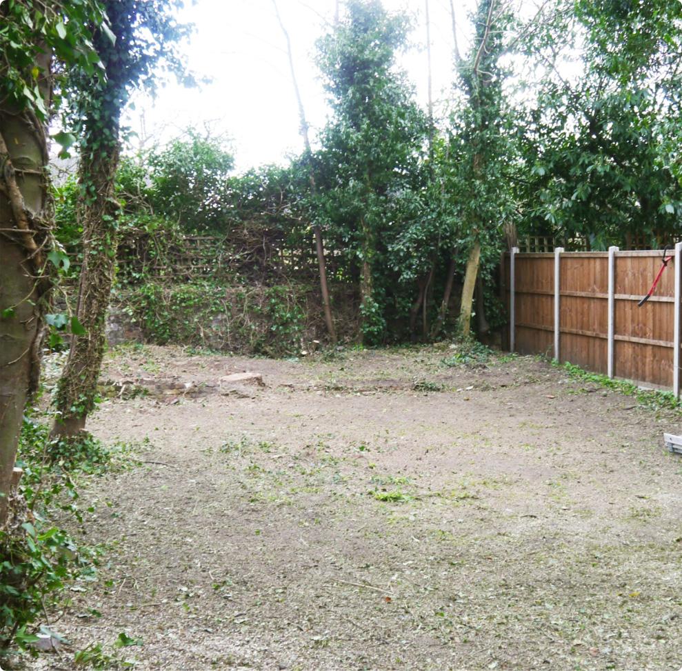 The image shows a backyard that has been cleared diligently by gardeners.
