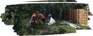 Reliable commercial garden clearance in a London property