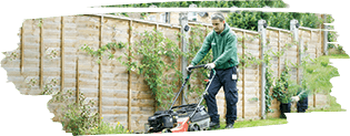 Commercial lawn care service in a London property