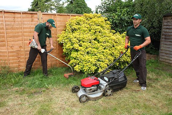 Grass cutting and lawn care in a London property