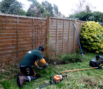 Gardener while clearing a commercial garden space in a London property